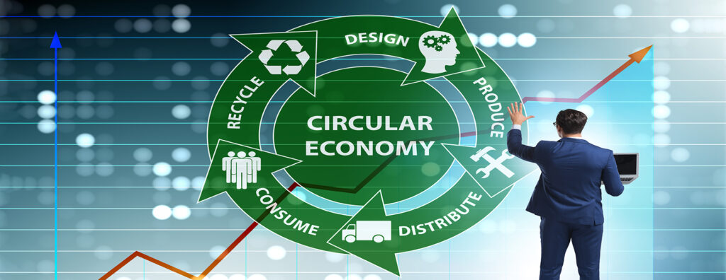 Rethinking Packaging for a Circular Economy: The Role of Fast-Growing Fibers